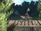 Spel Bike Trial Xtreme Forest online