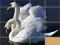 Spel Animals Slide Puzzle online