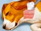 Spel Dog Hospital online