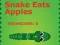 Spel Snake Eats Apples online