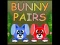 Spel Bunny Pairs online