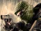 Spel Terrorist Shootout online