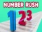 Spel Number Rush online