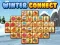 Spel Winter connect online