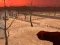 Spel Wasteland Shooters online