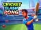 Spel Cricket Clash Pong online