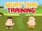 Spel Muay Thai Training online