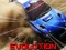 Spel Nitro Rally Evolution online