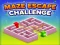 Spel Maze Escape Challenge online