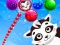 Spel Raccoon Rescue online