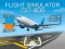 Spel Flight Simulator 737-800 online