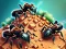 Spel Ant Colony online