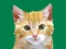 Spel Idle Painter online