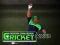 Spel Cricket Fielder Challenge online