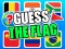 Spel Guess The Flags online