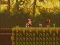 Spel The Lost Forest online