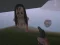 Spel The Island of Momo online