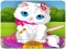 Spel Vet Cat Clinic online
