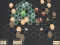 Spel Turn Based online