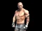 Spel Fight Arena Online online