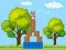 Spel Box Challenge online