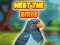 Spel Meet The Birds online