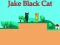 Spel Jake Black Cat online