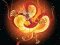 Spel Chinese Dragons Coloring online