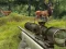 Spel Stag Hunt online