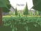 Spel Precision online