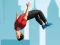 Spel Flip Master online