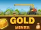 Spel Amazing Gold Miner online