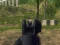 Spel Army Shooter online