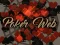 Spel Poker Web online