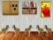 Spel Dog Room Escape online