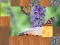 Spel Wash if off online