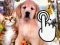 Spel Pets Clicker online