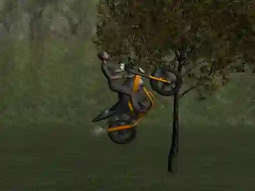 Spel Mountain Bike Rider online