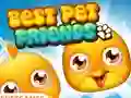 Spel Best Pet Friends online