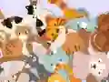 Spel Find The Kitty online