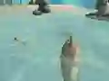 Spel Shark Simulator Beach Killer online