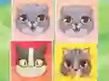 Spel Kitten Match online