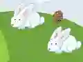 Spel Crazy Eggs online