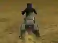 Spel Real Moto Stunts Challenge online