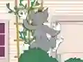 Spel Tom und Jerry: Wasserbomben Wahnsinn online