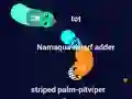 Spel Curvz.io online