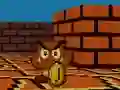Spel Mario FPS online