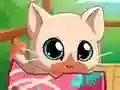 Spel My Pocket Pets Kitty Cat online