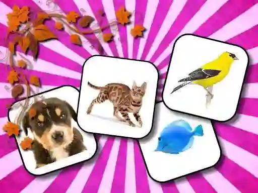 Spel Animals Memory online