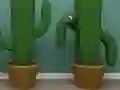 Spel Cactus Cube online